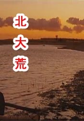 1080P未删减版在线观看